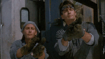 200-8.gif