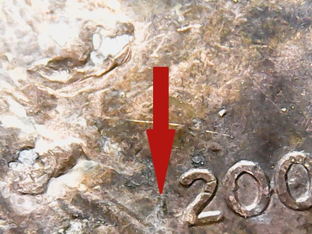 200 with L -2.jpg