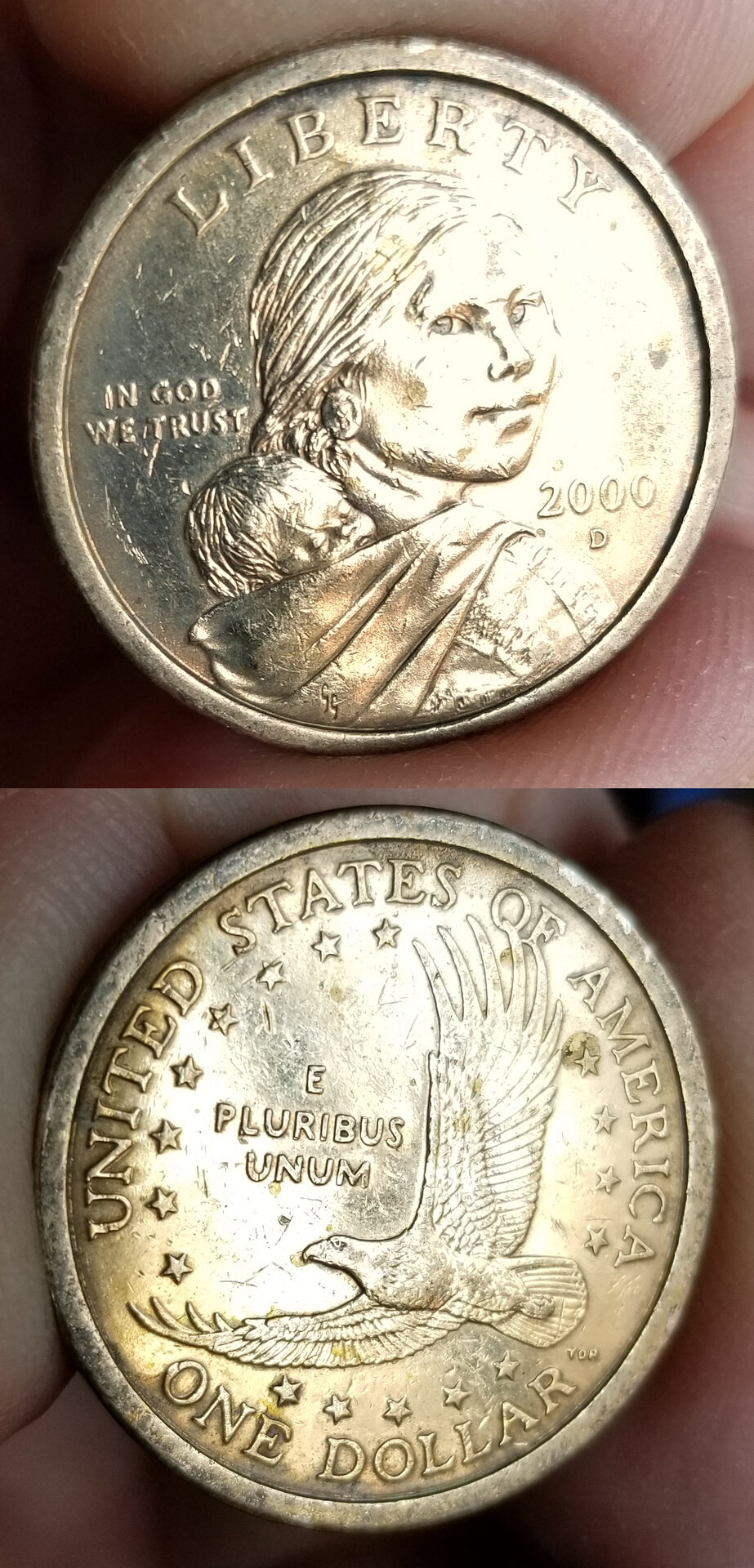 2000 D Sacagawea Millenium Set.jpg