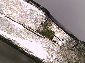 2000-d5c_rim1.jpg