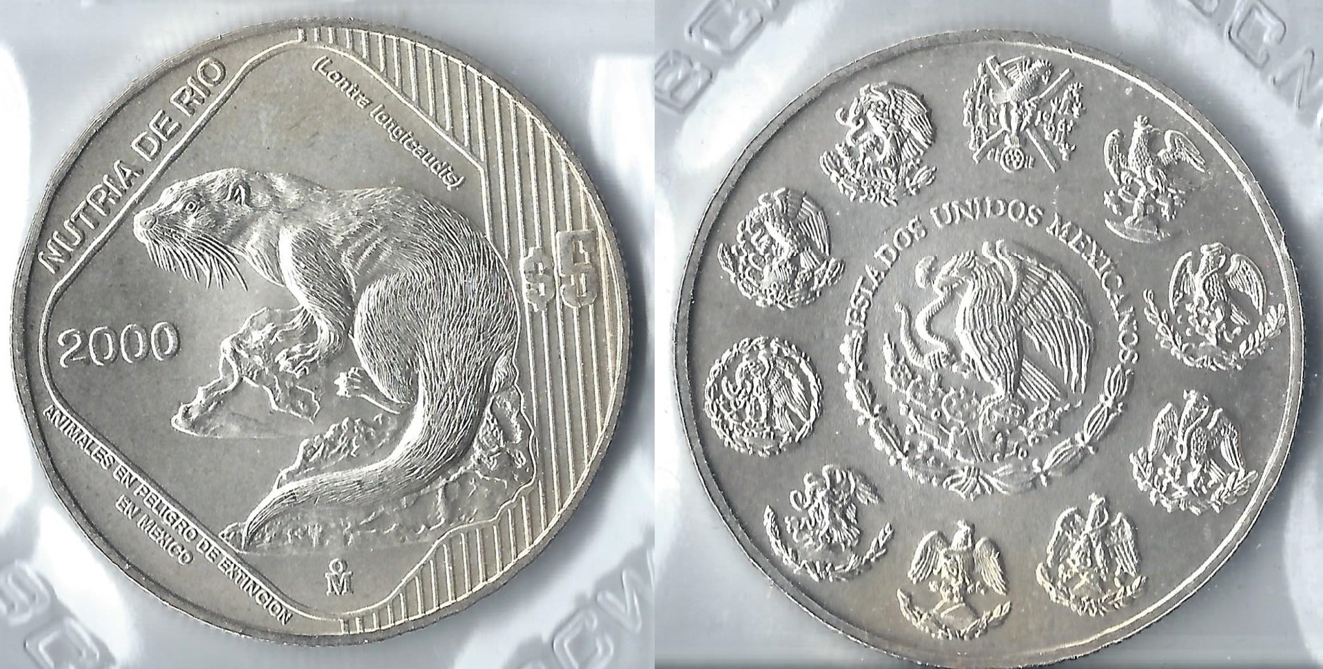 2000 mexico 5 pesos otter.jpg
