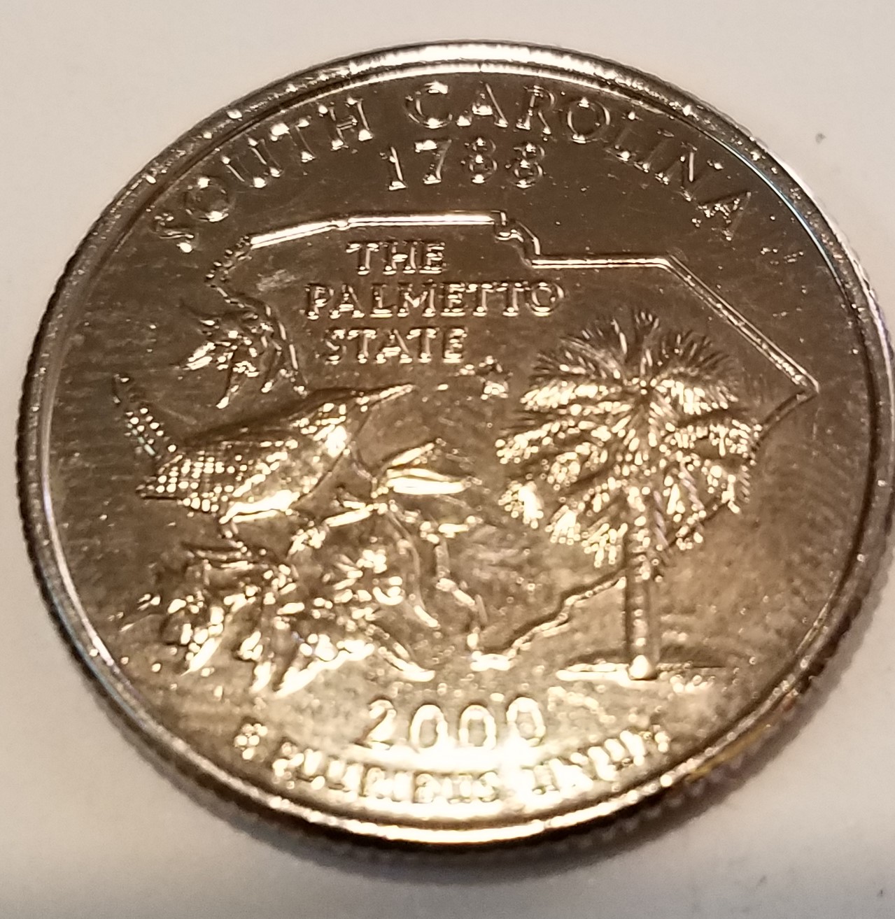 2000 south carolina2.jpg