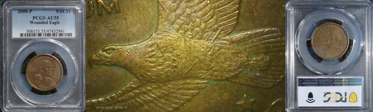 2000P SAC Wounded Eagle 1-horz.jpg