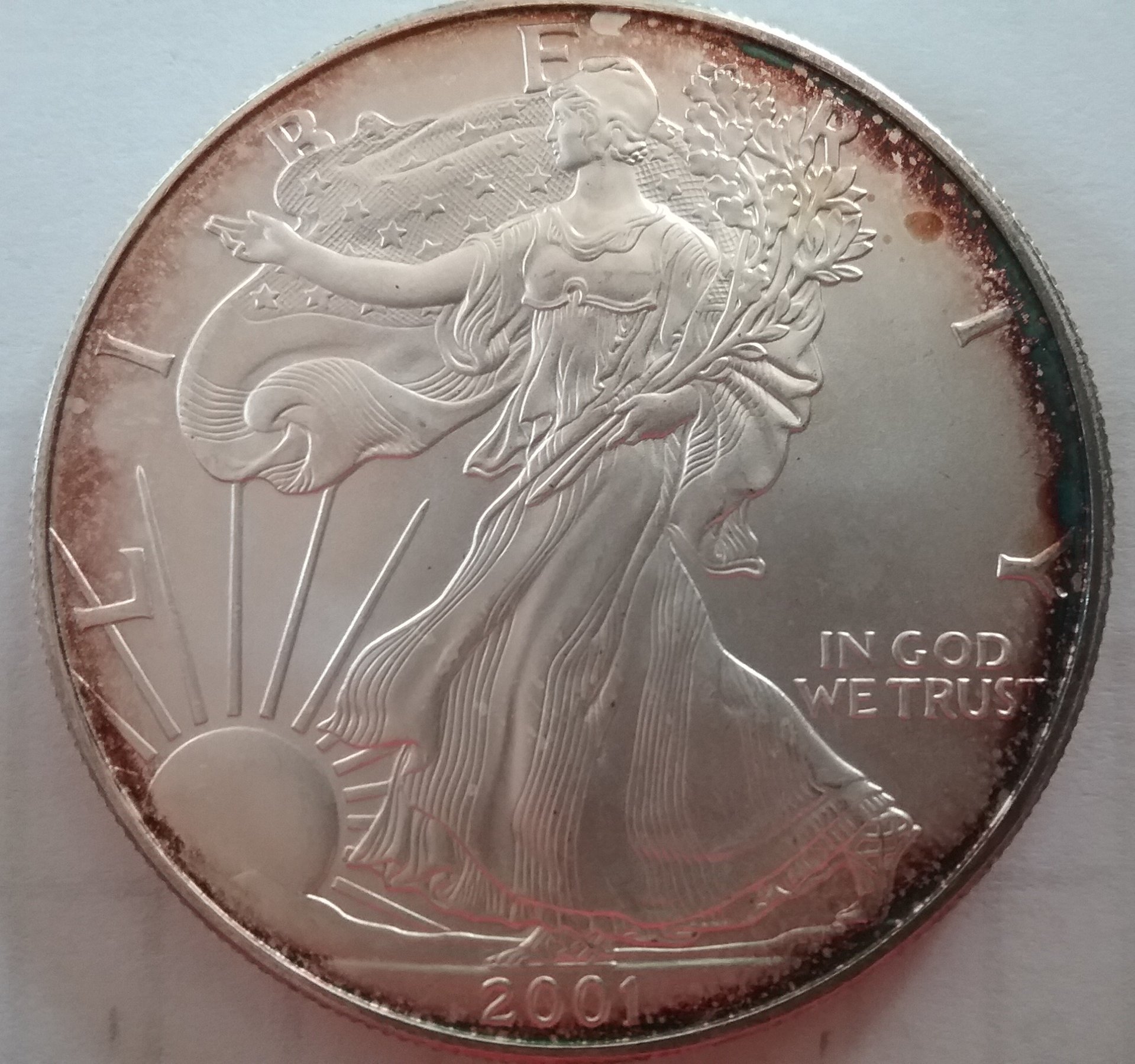 2001-1.jpg