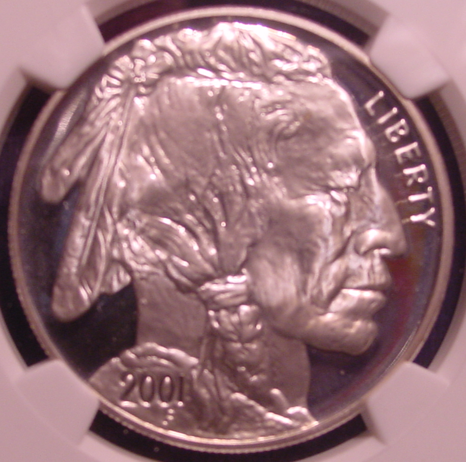 2001 Buffalo Dollar O.jpg