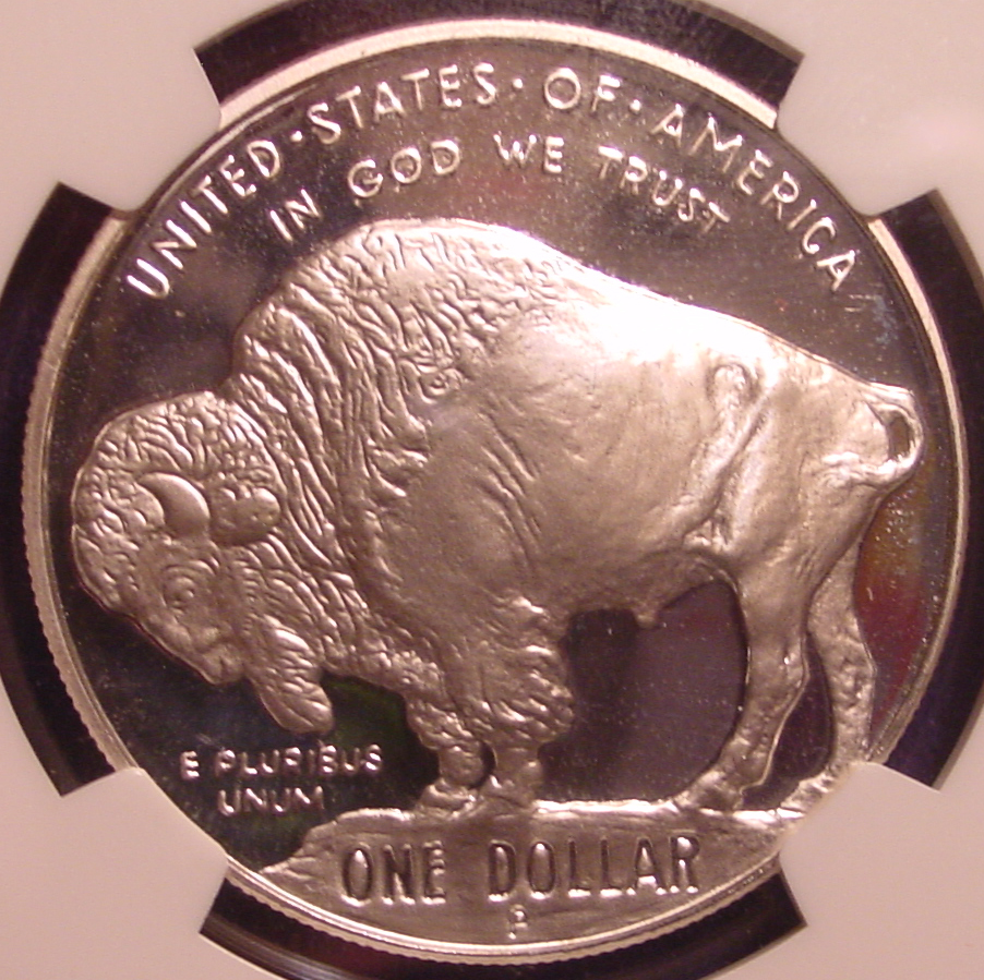 2001 Buffalo Dollar R.jpg