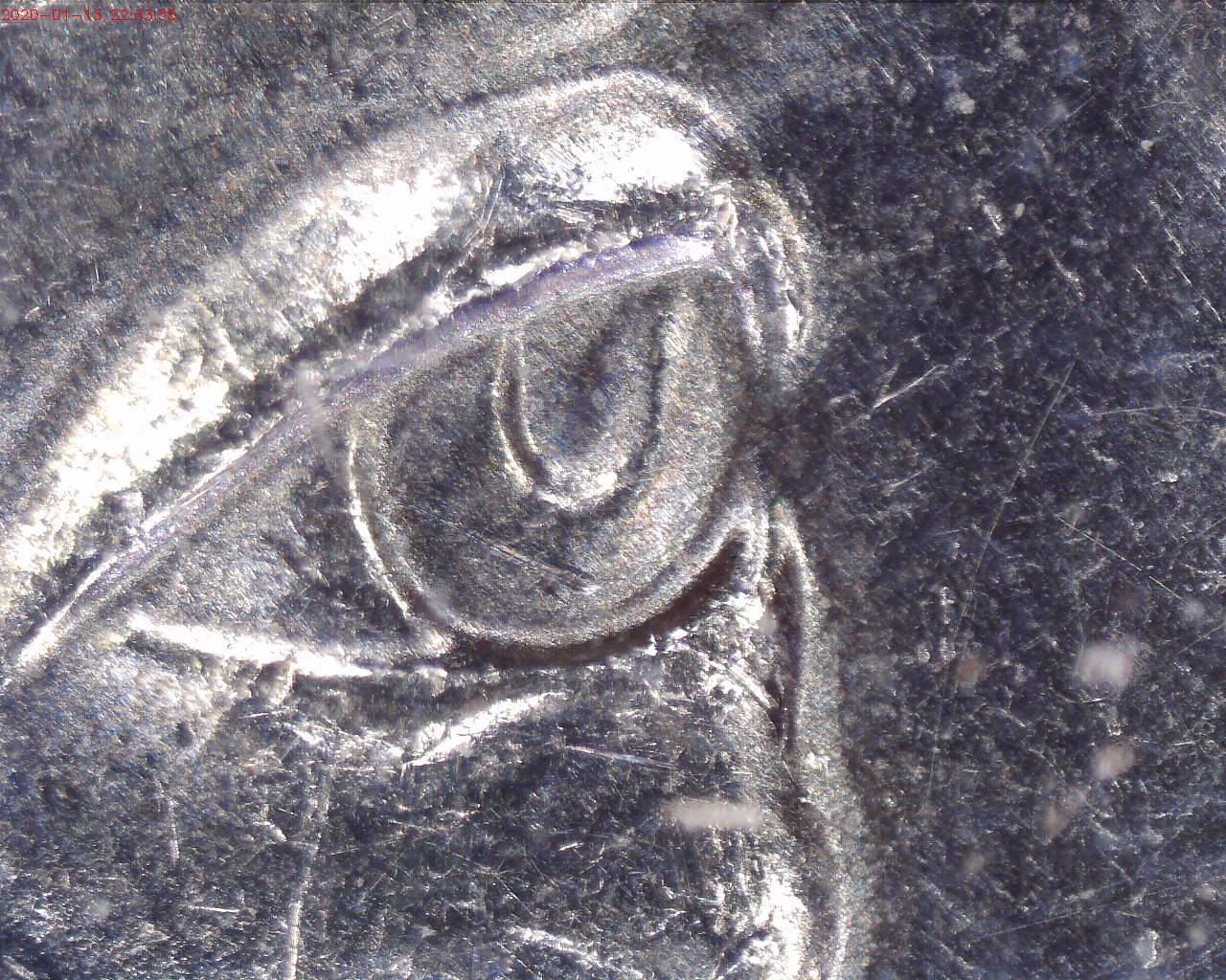200113223355728.jpg