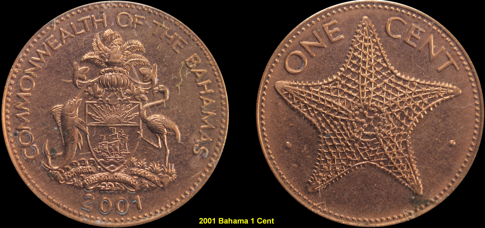 2001Cent.jpg