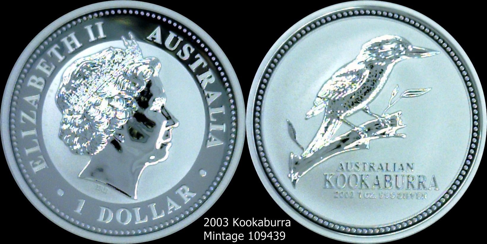 2003 Kookaburra.jpg