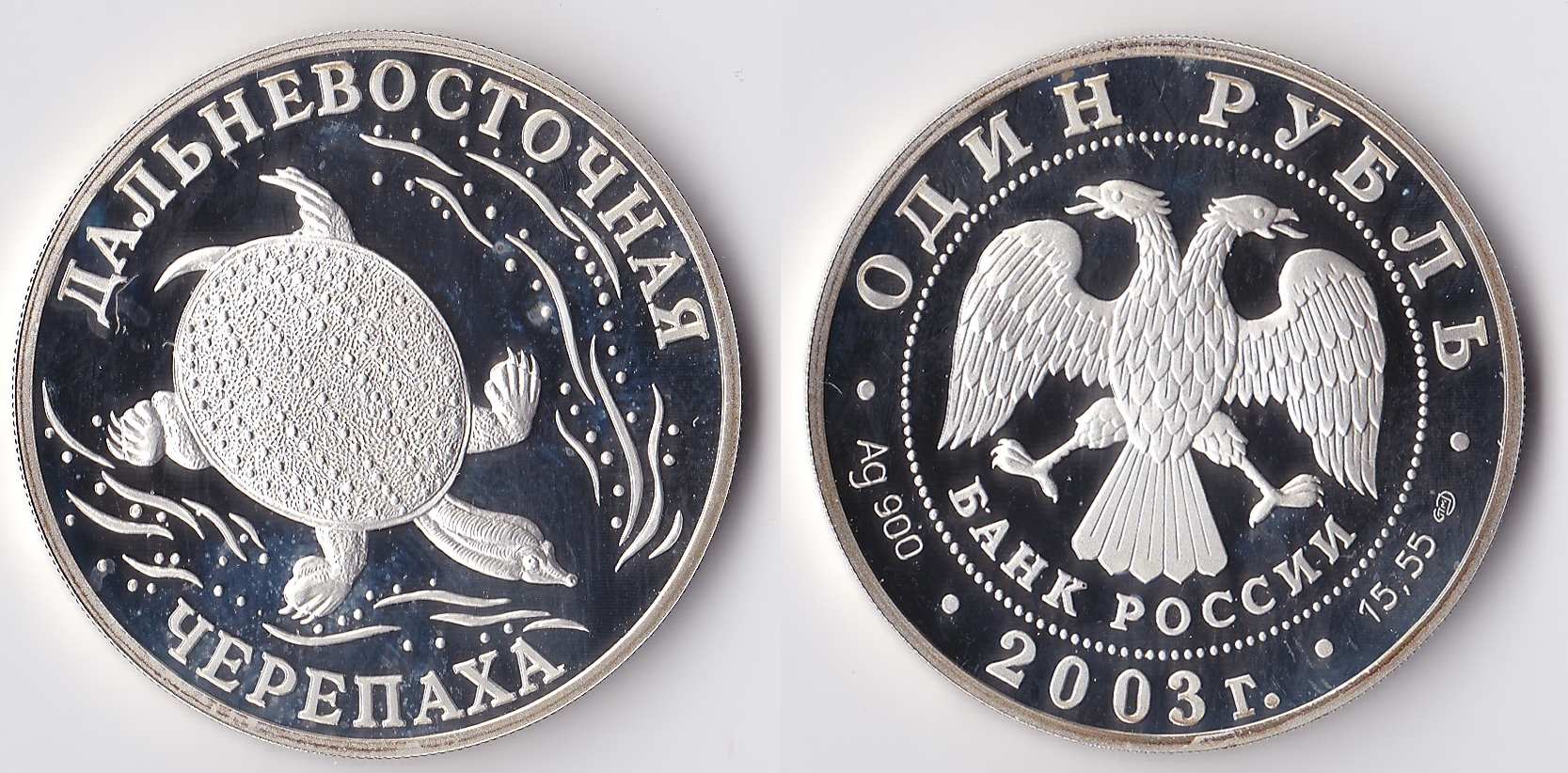 2003 russia 1 ruble turtle.jpg