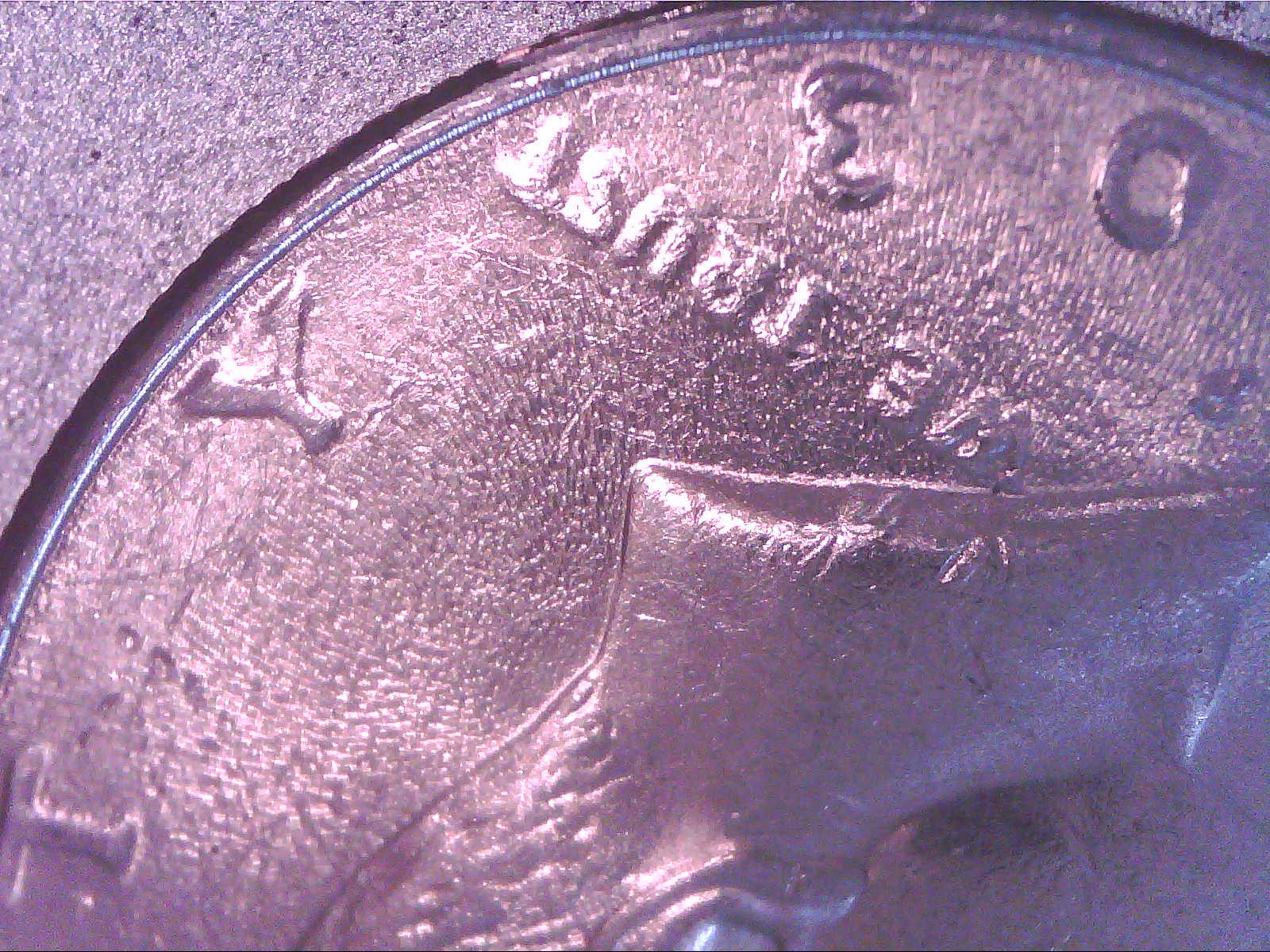 2003worndie-1.jpg