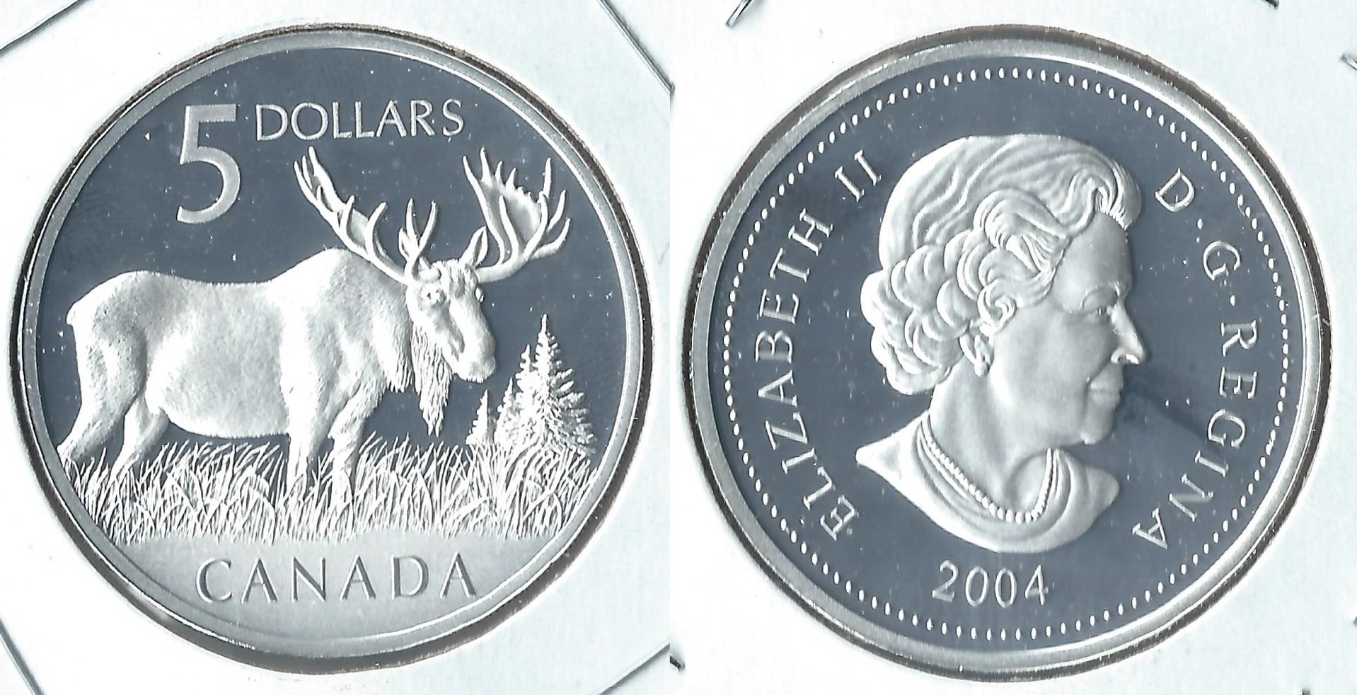 2004 canada 5 dollars moose.jpg