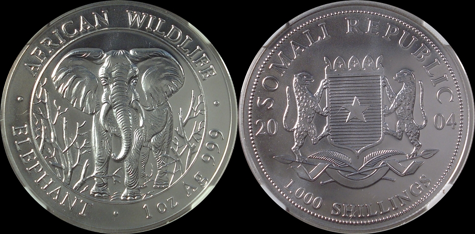 2004 elephant 460.jpg