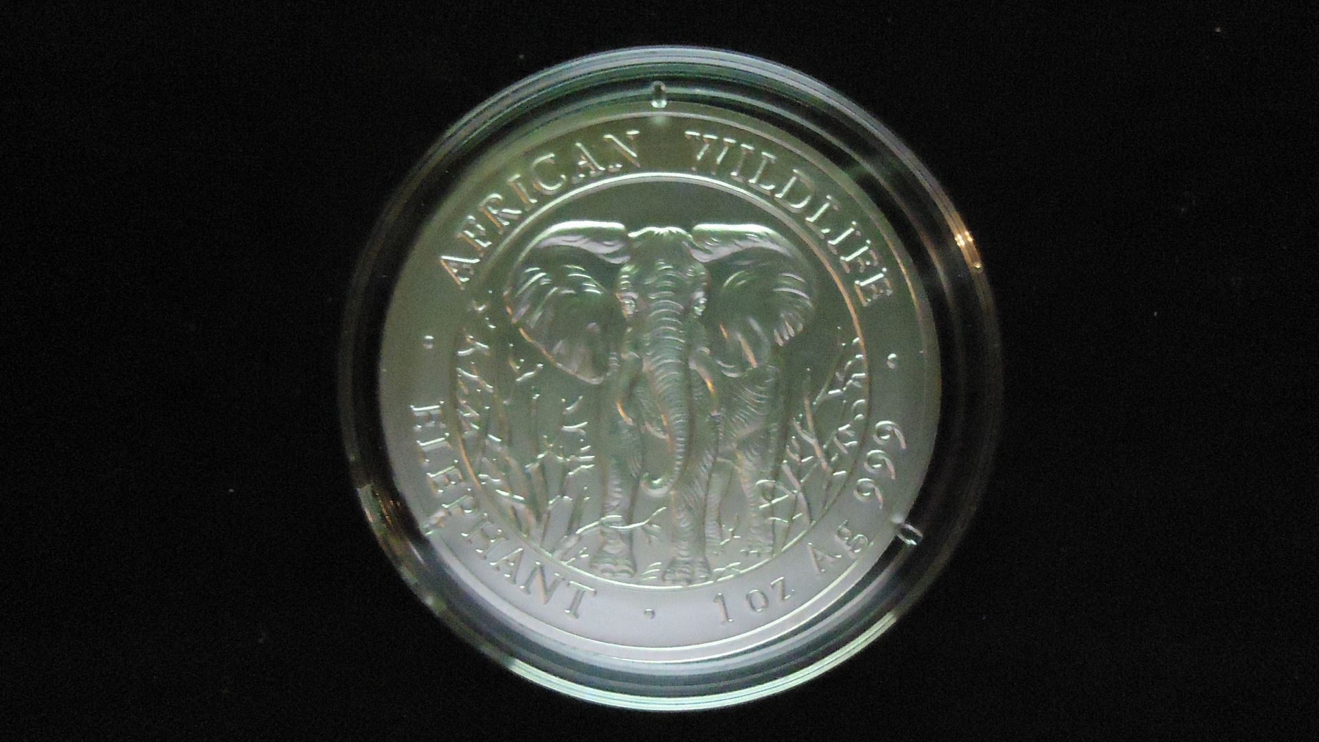 2004.JPG