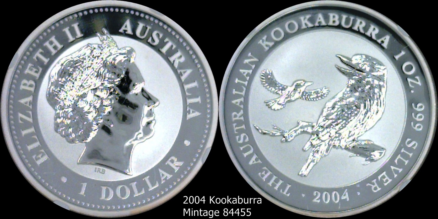2004 Kookaburra.jpg