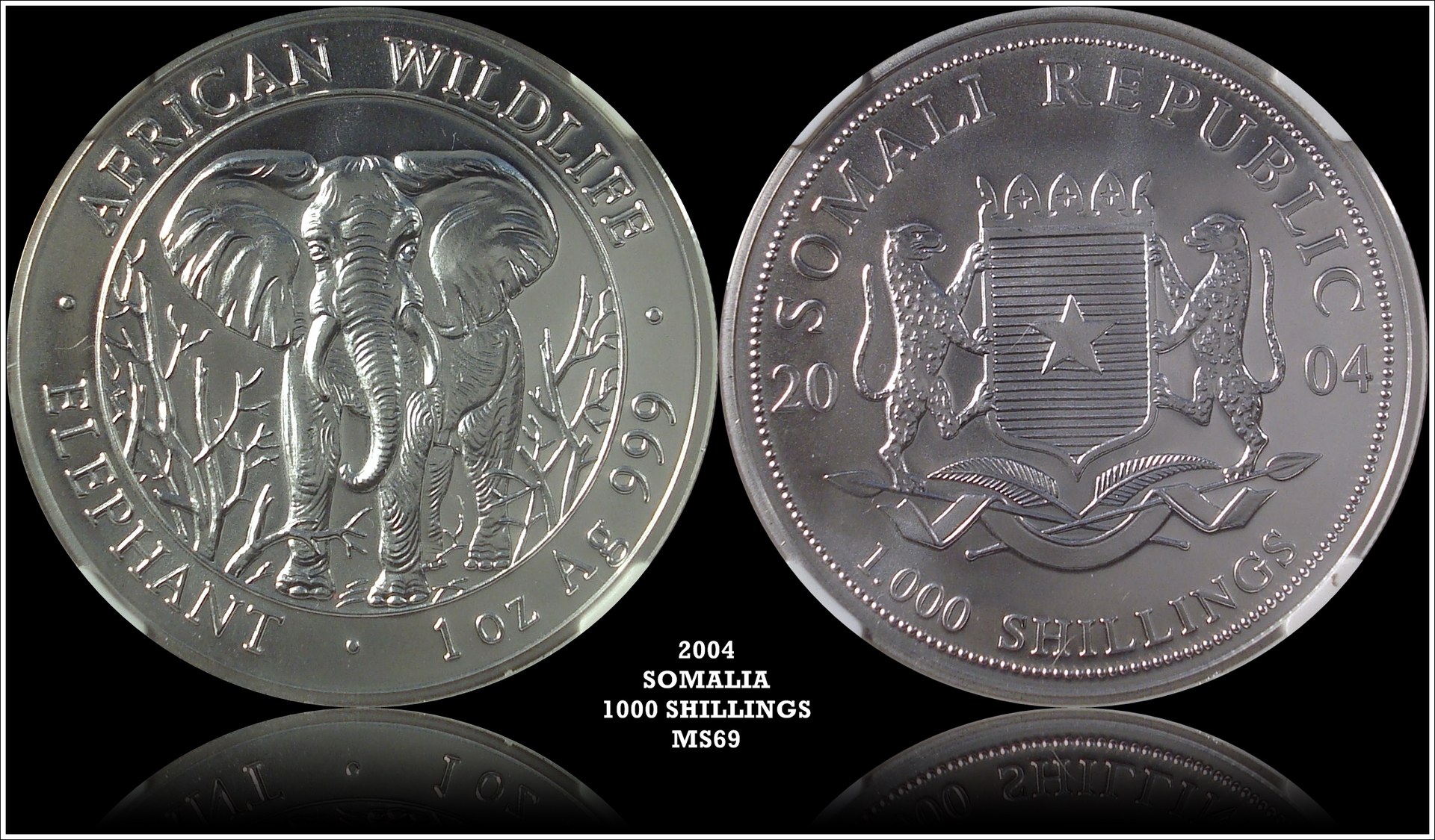 2004 MS69 ELEPHANT.jpg