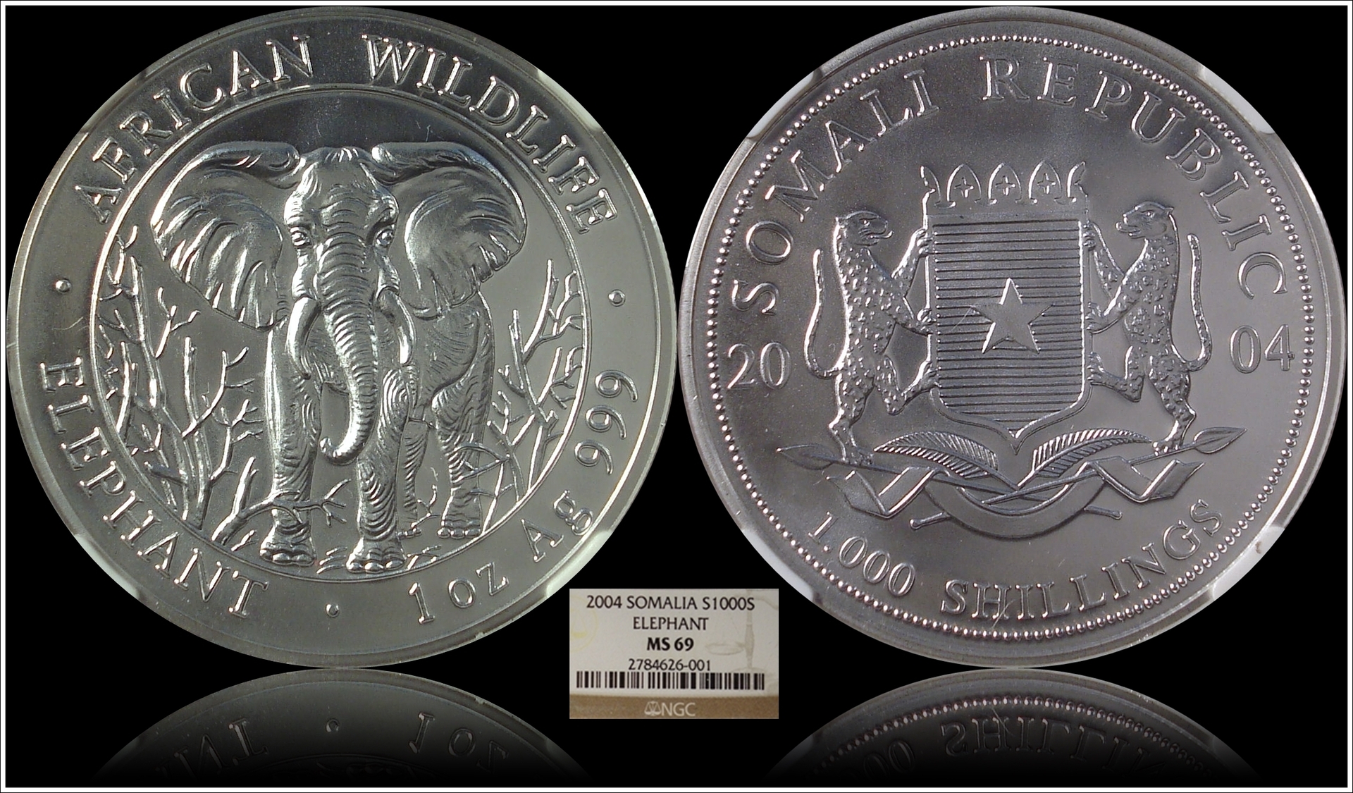 2004 ms69 ngc.jpg