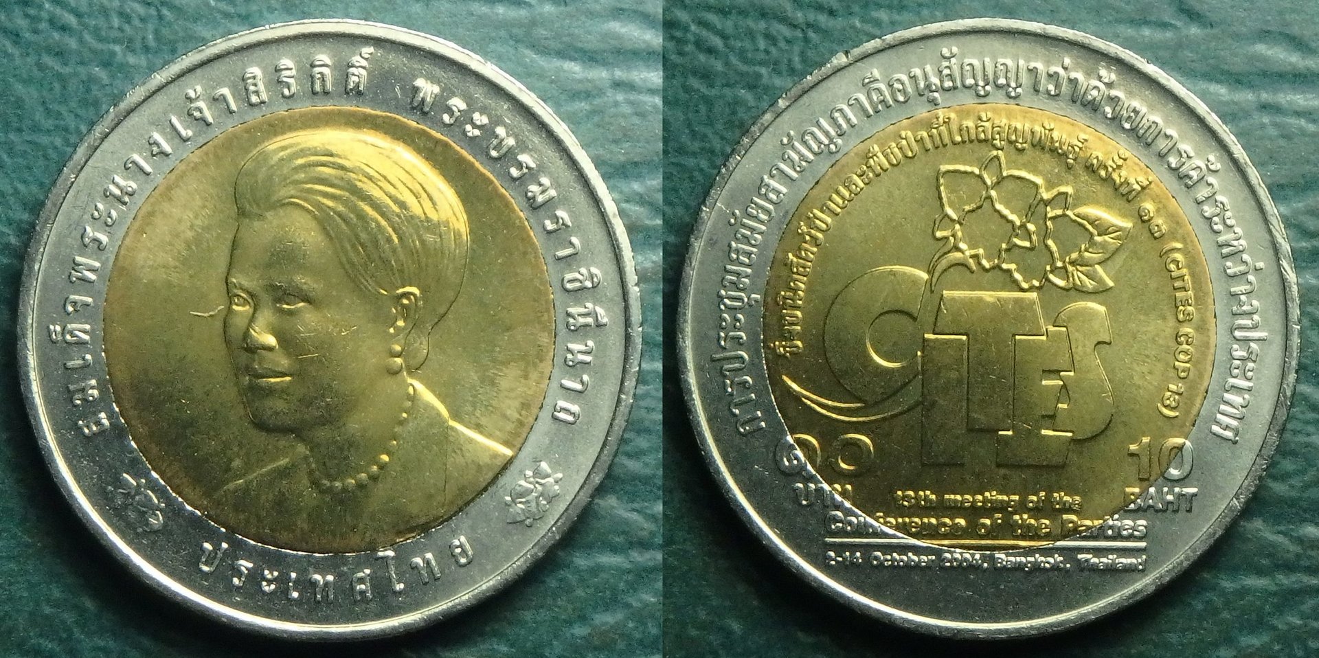 2004 TH-CITES 10 b.jpg