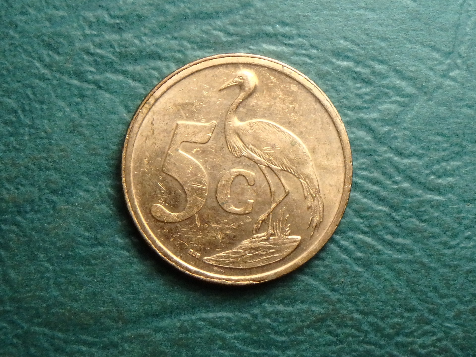 2004 ZA 5 c rev.JPG