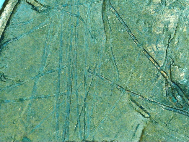 200401183926721.jpg