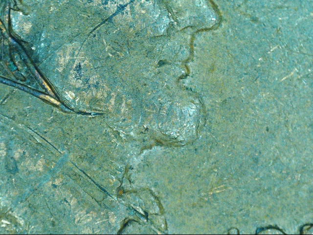 200401184000681.jpg
