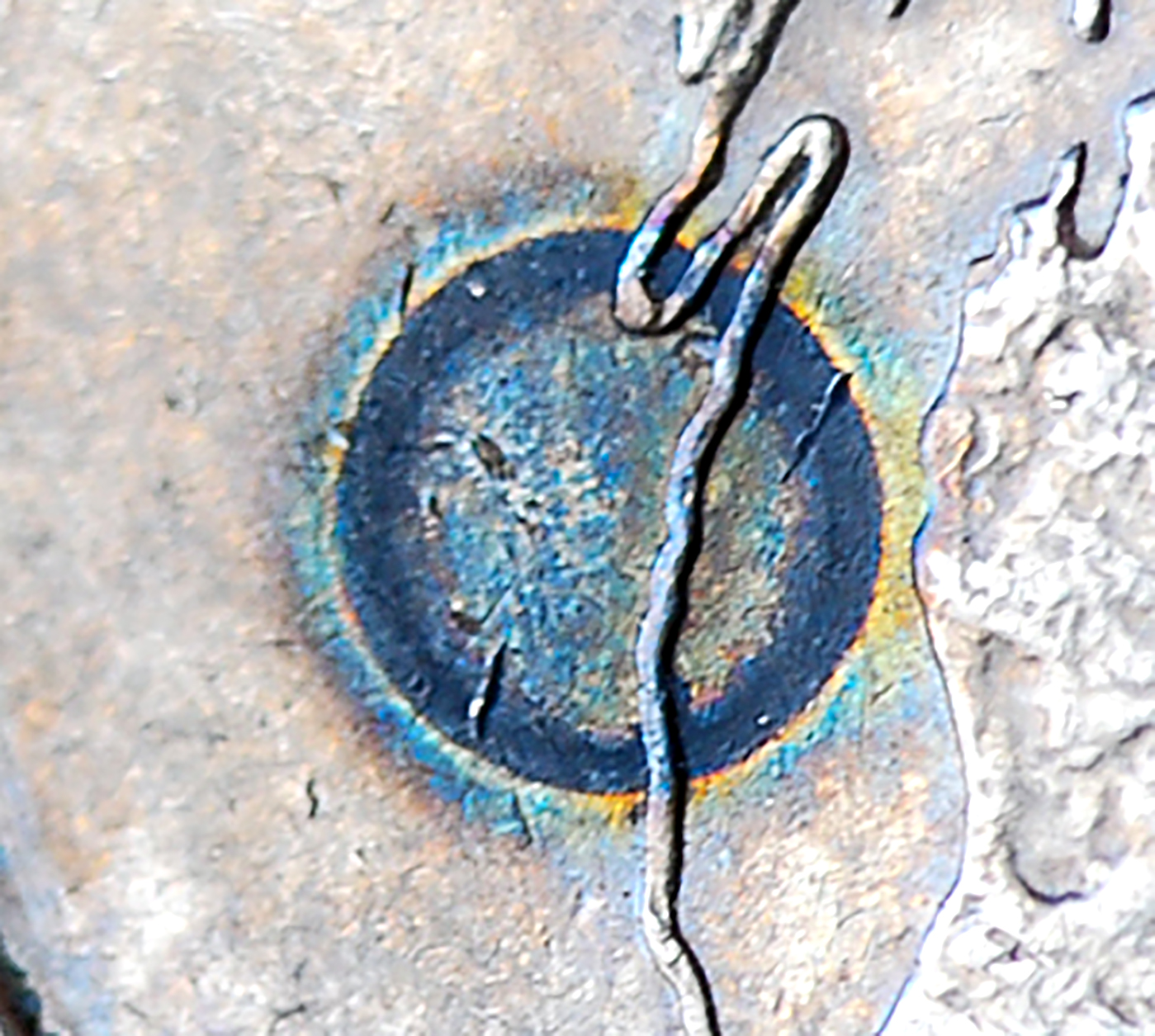2004crop.jpg