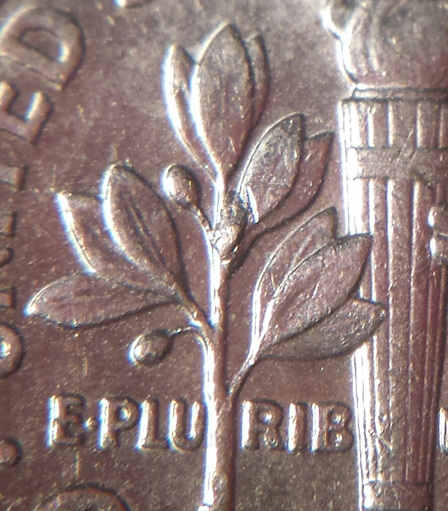 2004P 012.jpg