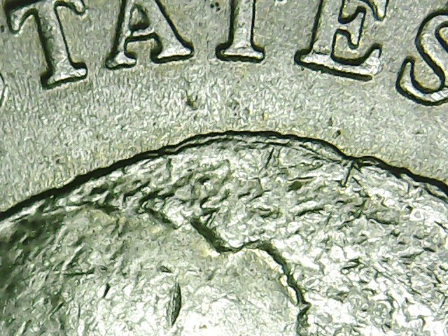 2005 buffalo duble hump.jpg