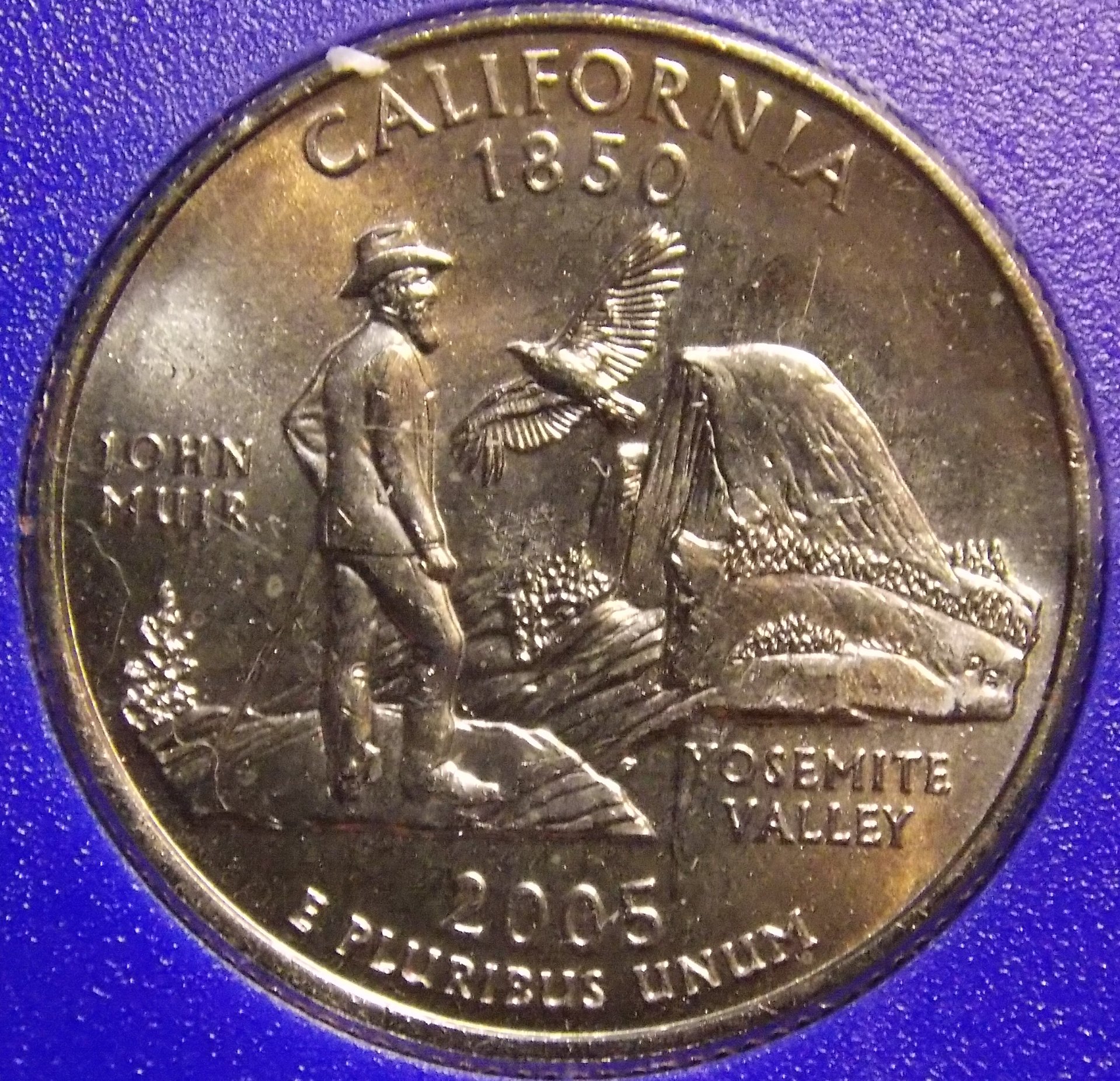 2005 California Flag Philidelphia.jpg