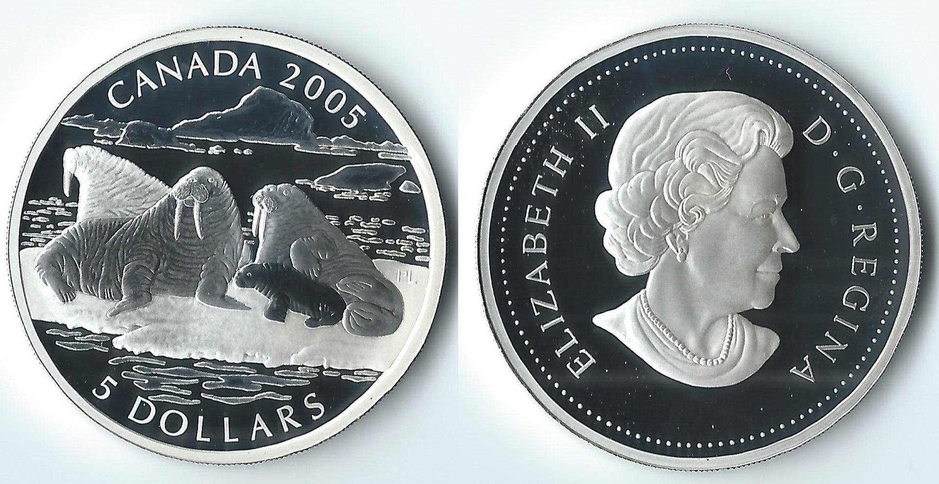 2005 canada 5 dollars walrus.jpg