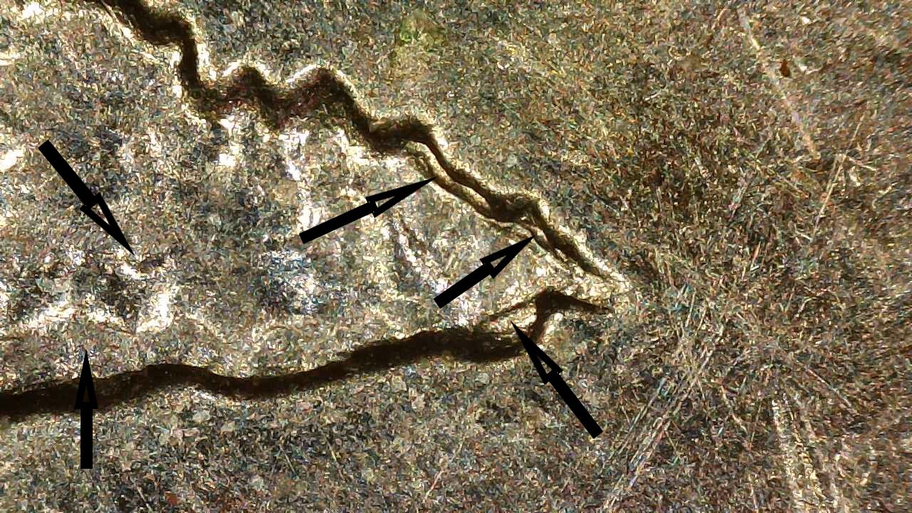 2005 D 25c Oregon Reverse Anomaly.1e.arrow.jpg