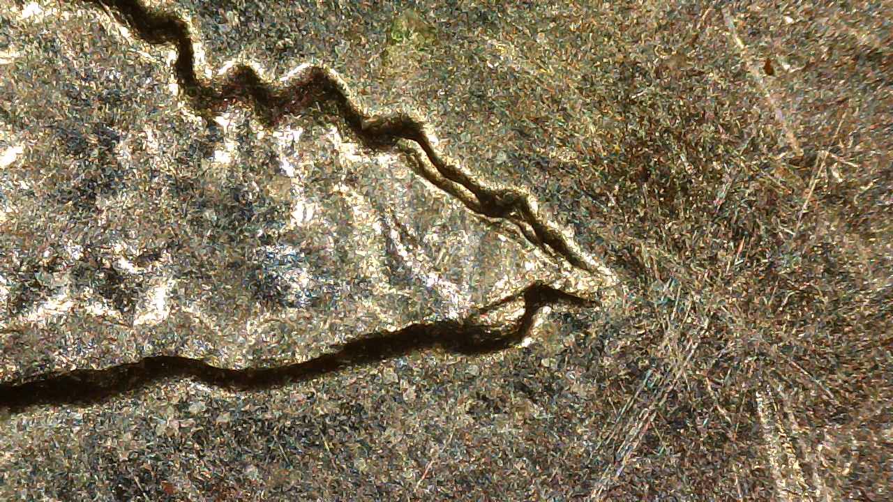2005 D 25c Oregon Reverse Anomaly.1e.jpg