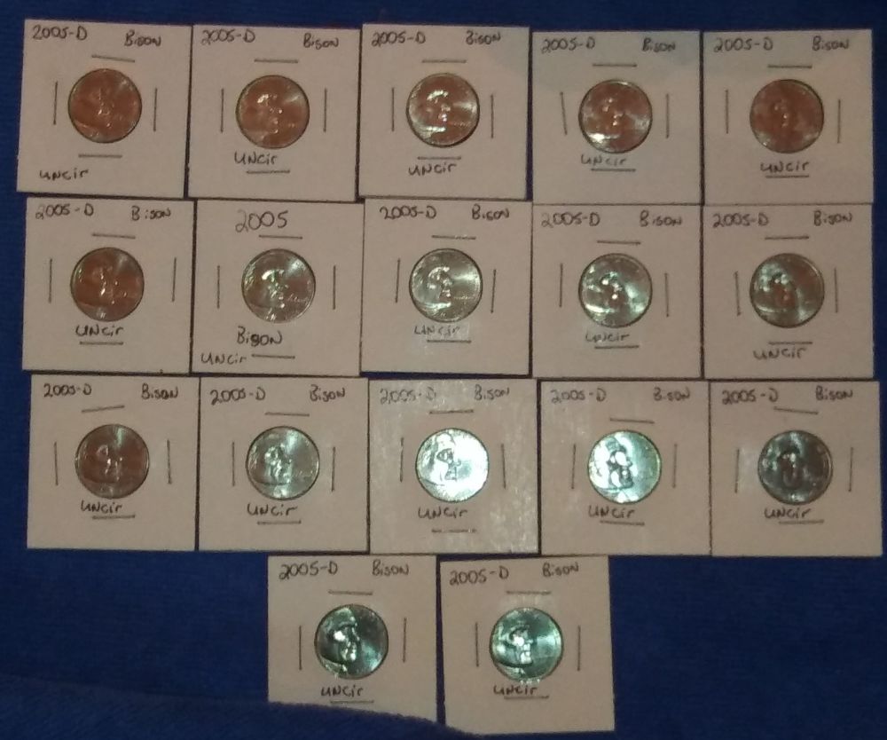 2005 d bison 1_opt.jpg