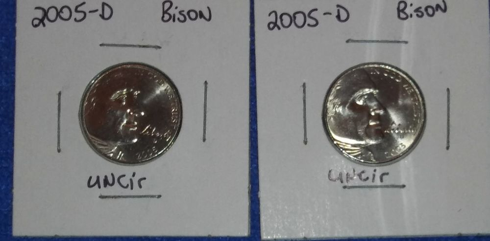 2005 d bison 2_opt.jpg