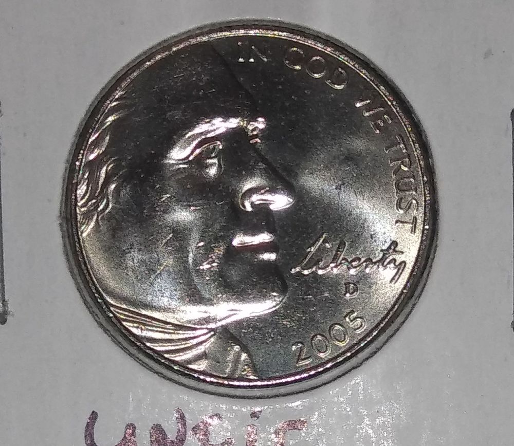 2005 d bison 3_opt.jpg
