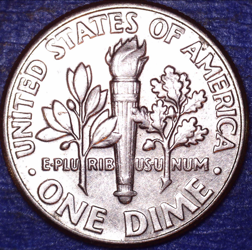 2005-D Rev.jpg