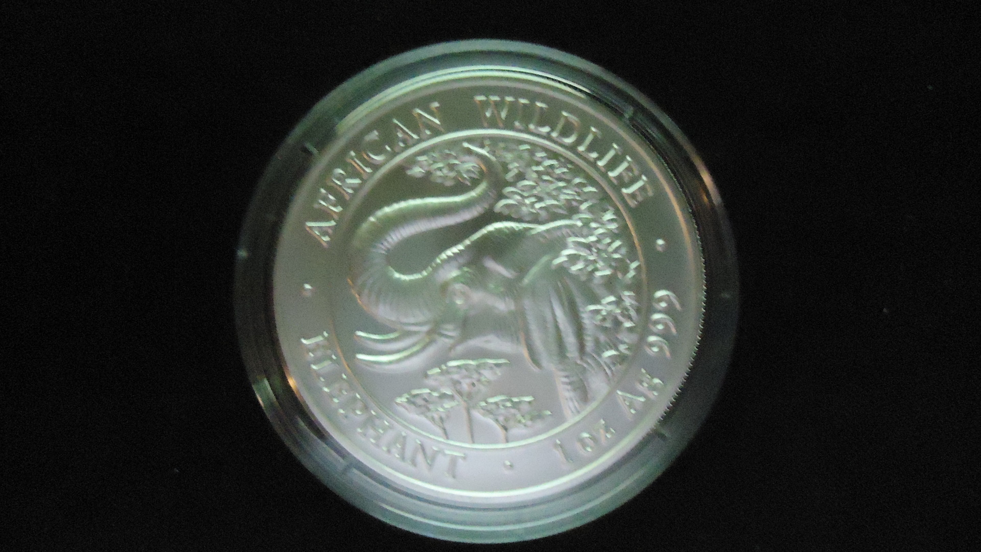 2005.JPG