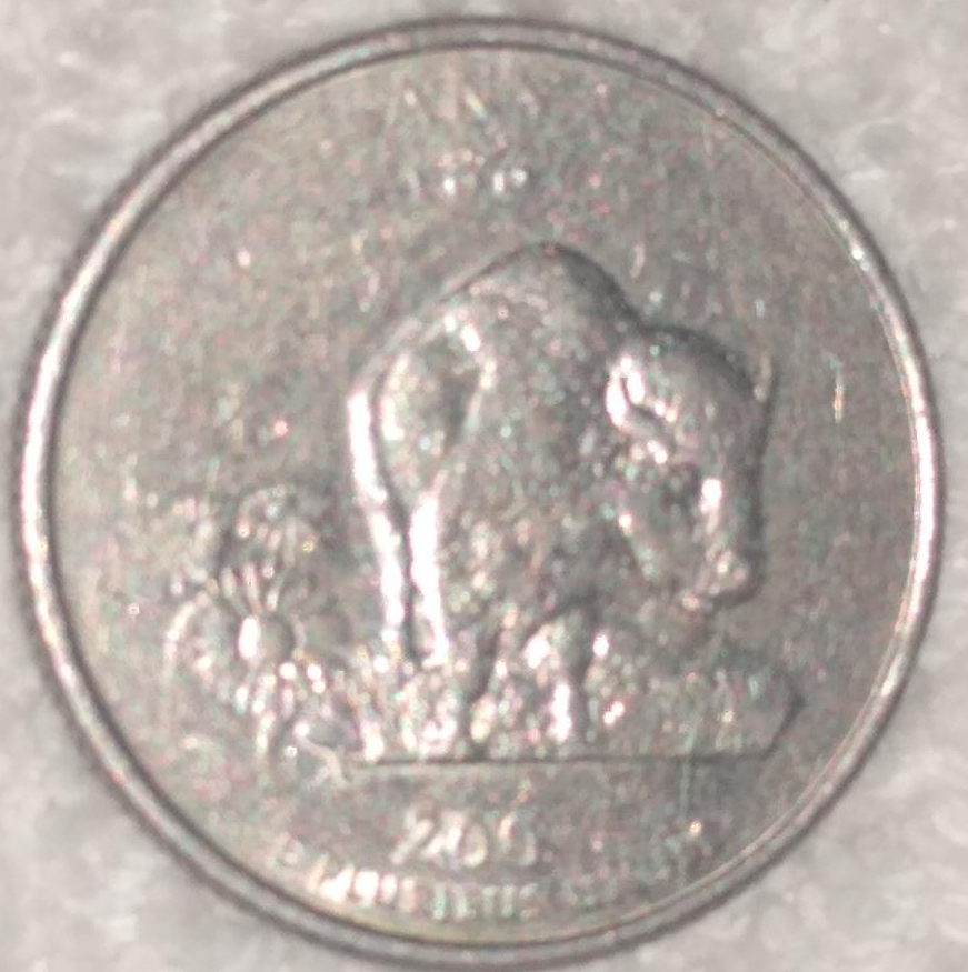 2005 kansas quarter back pic 2.jpg