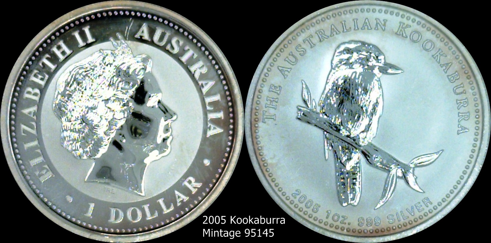 2005 Kookaburra.jpg
