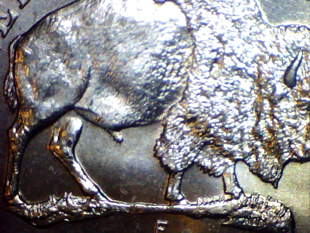 2005-leg.jpg