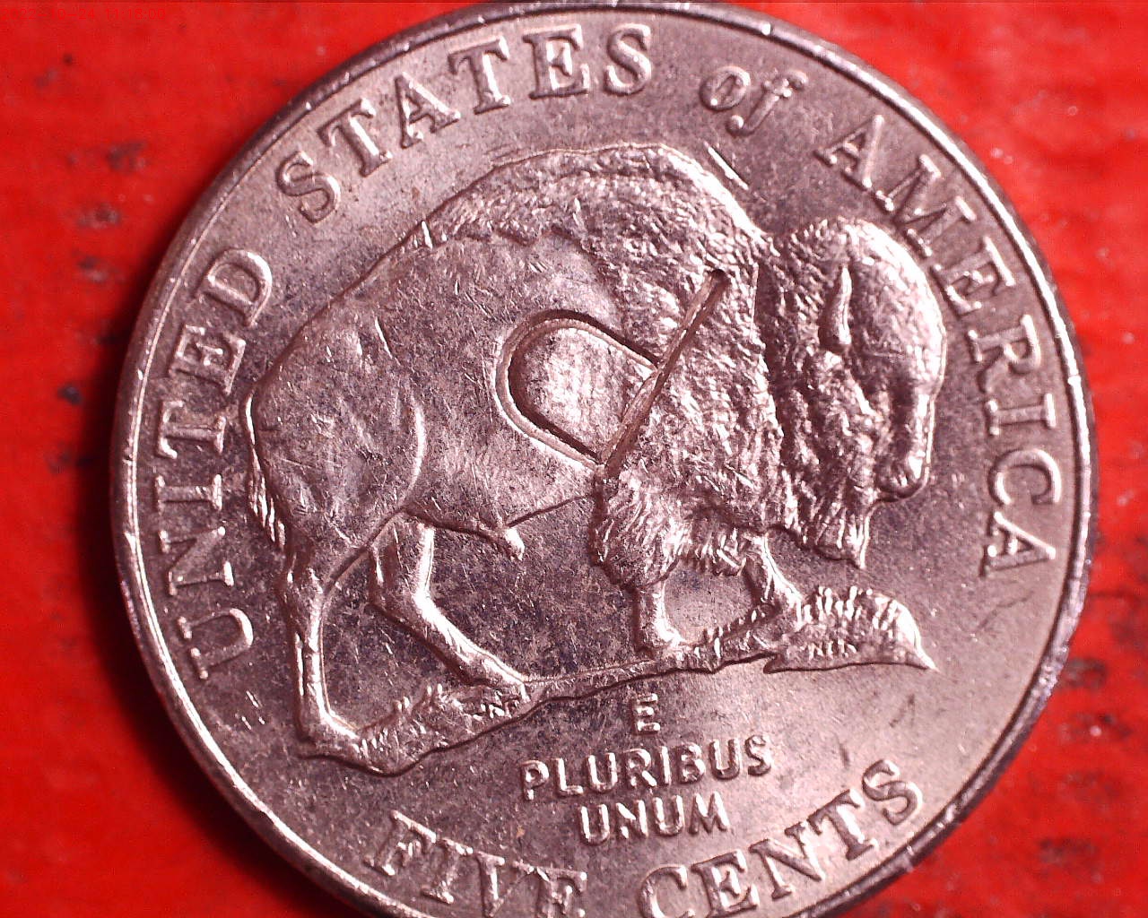 2005 nickel.jpg