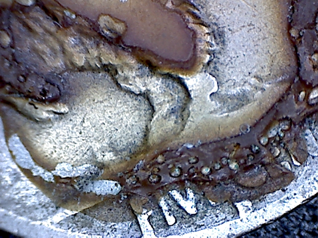 2005 nickel2.jpg