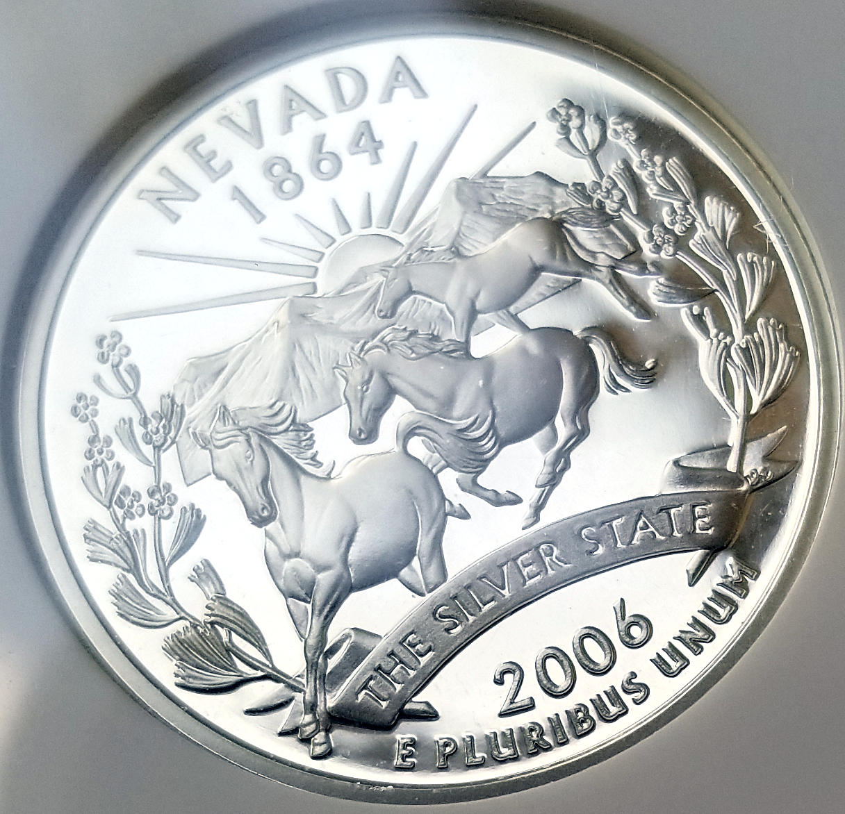 2005 S Nevada Silver Proof 70 Reverse CLOSE UP angle1.jpg