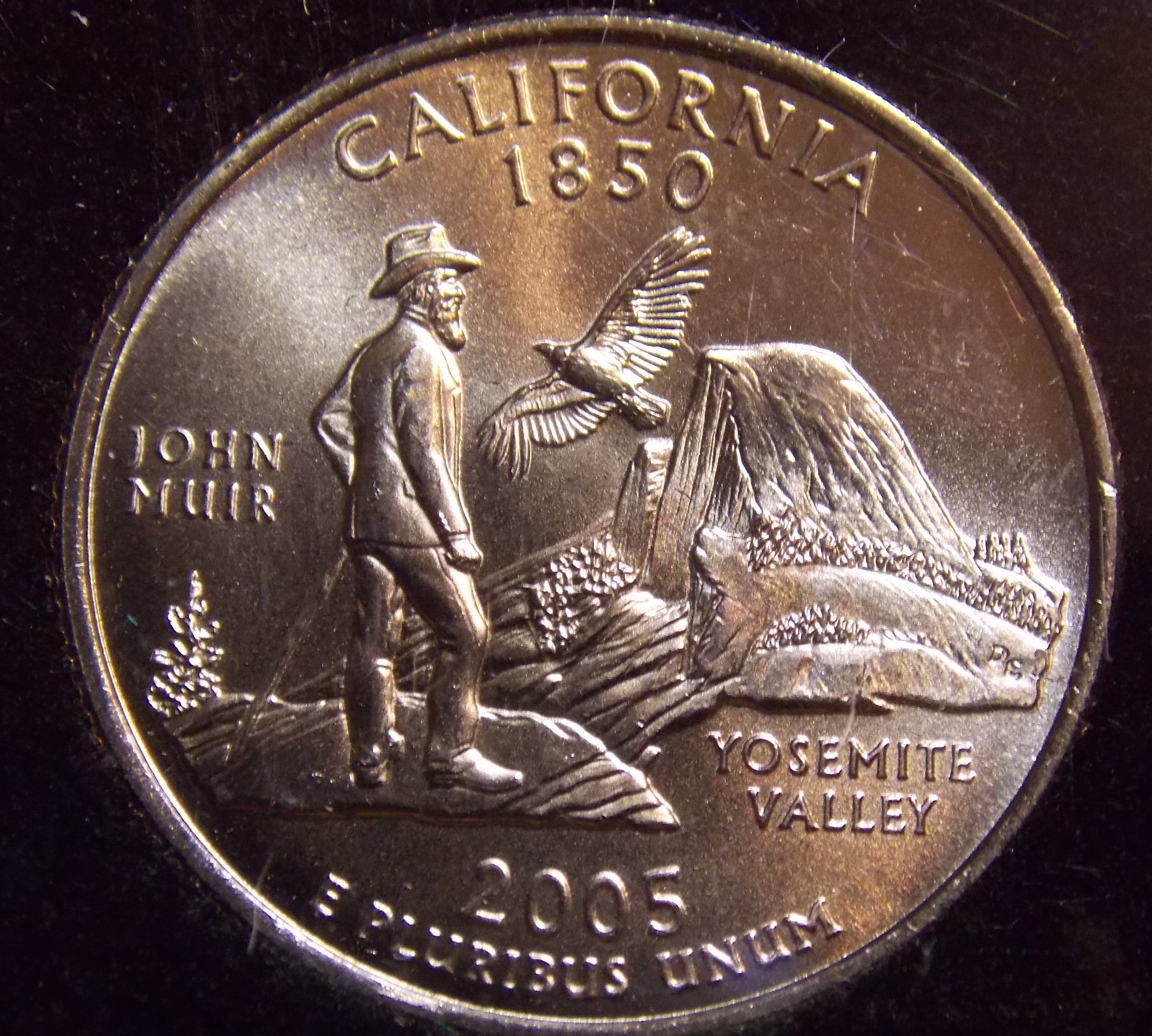 2005 Satin California.jpg
