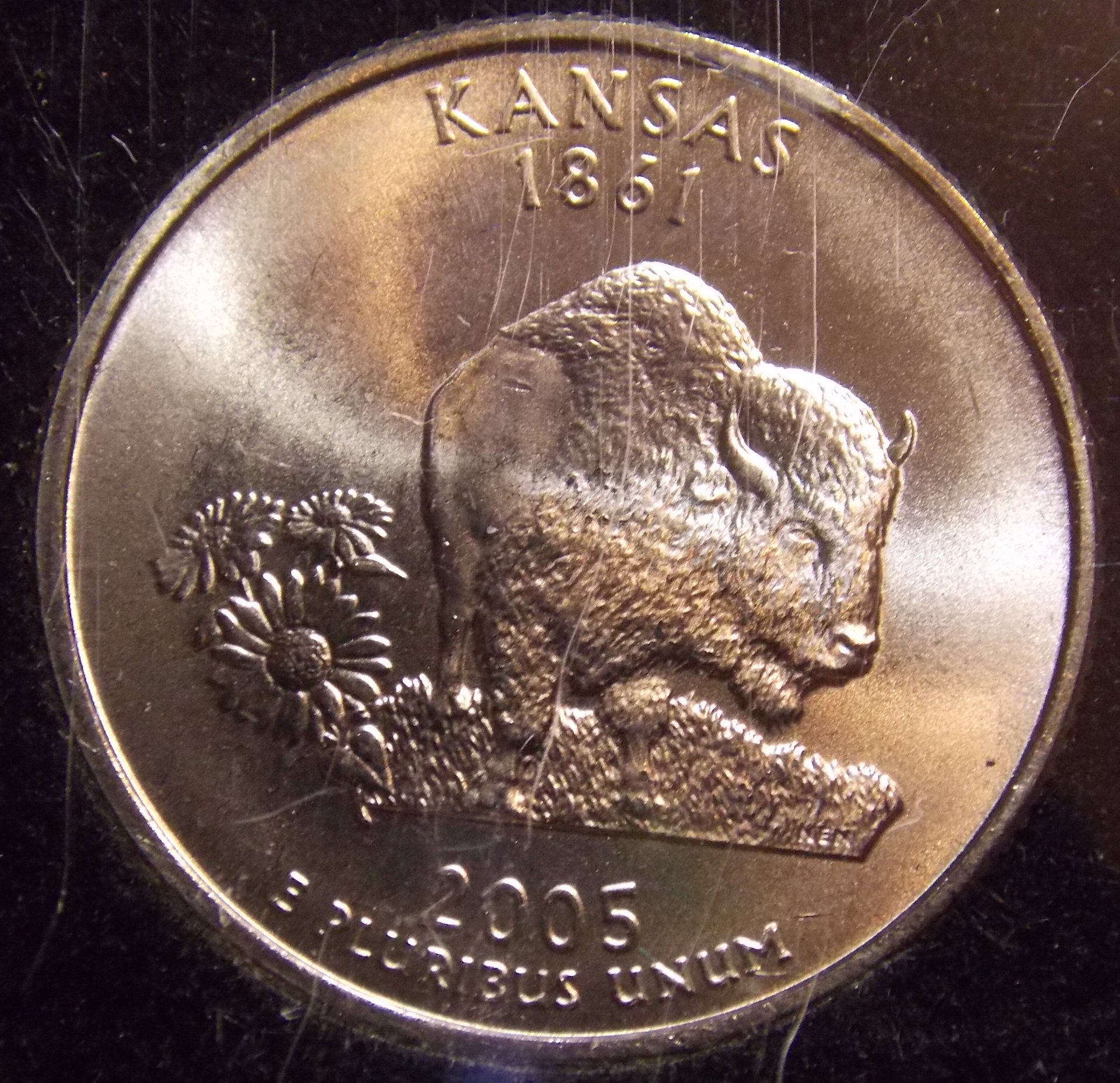 2005 Satin Kansas.jpg
