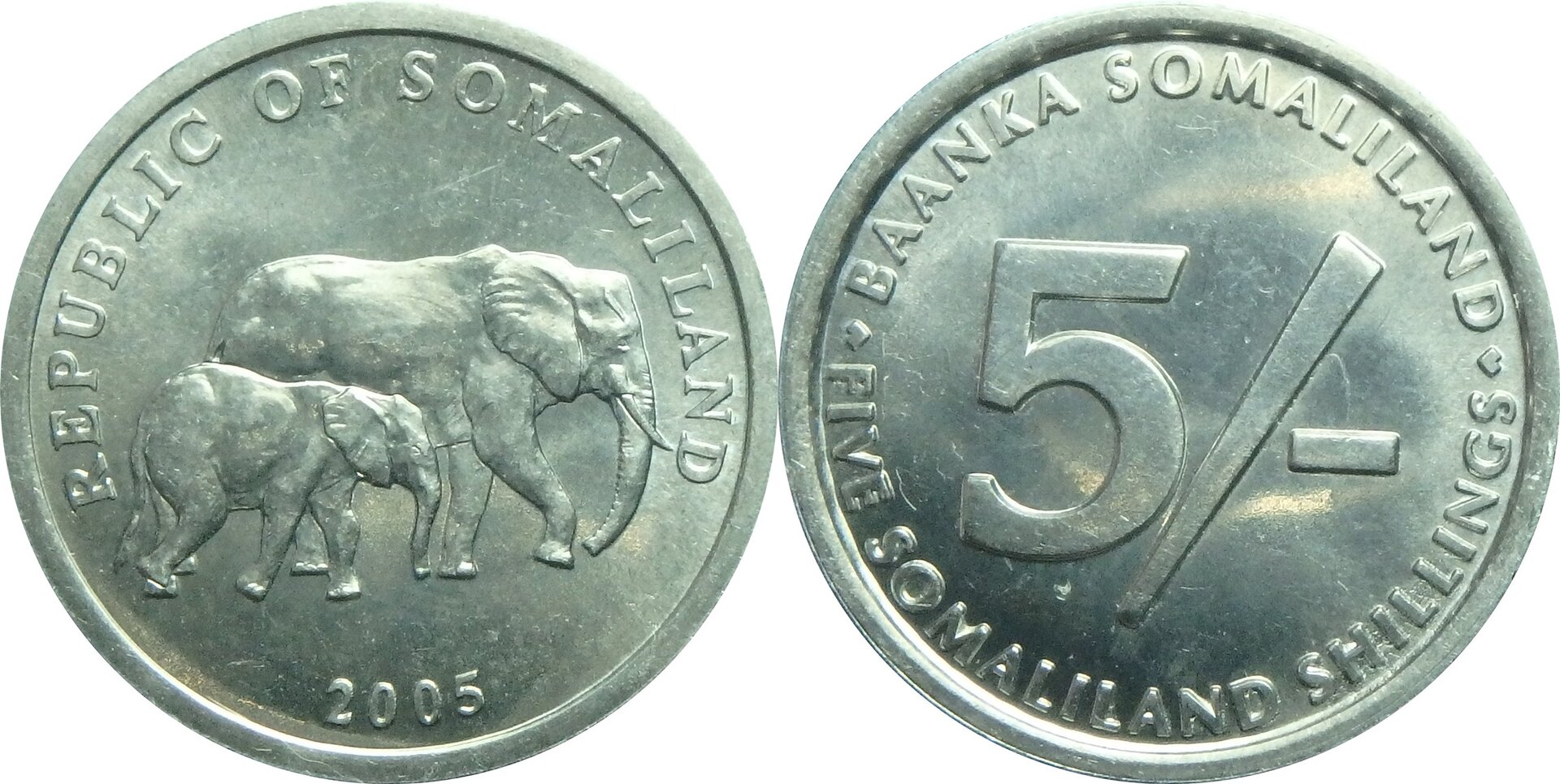 2005 SO 5 s (3).jpg