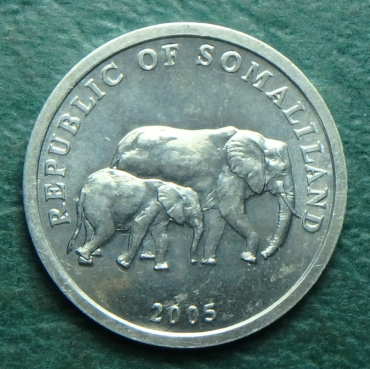 2005 SO 5 s obv (2).JPG