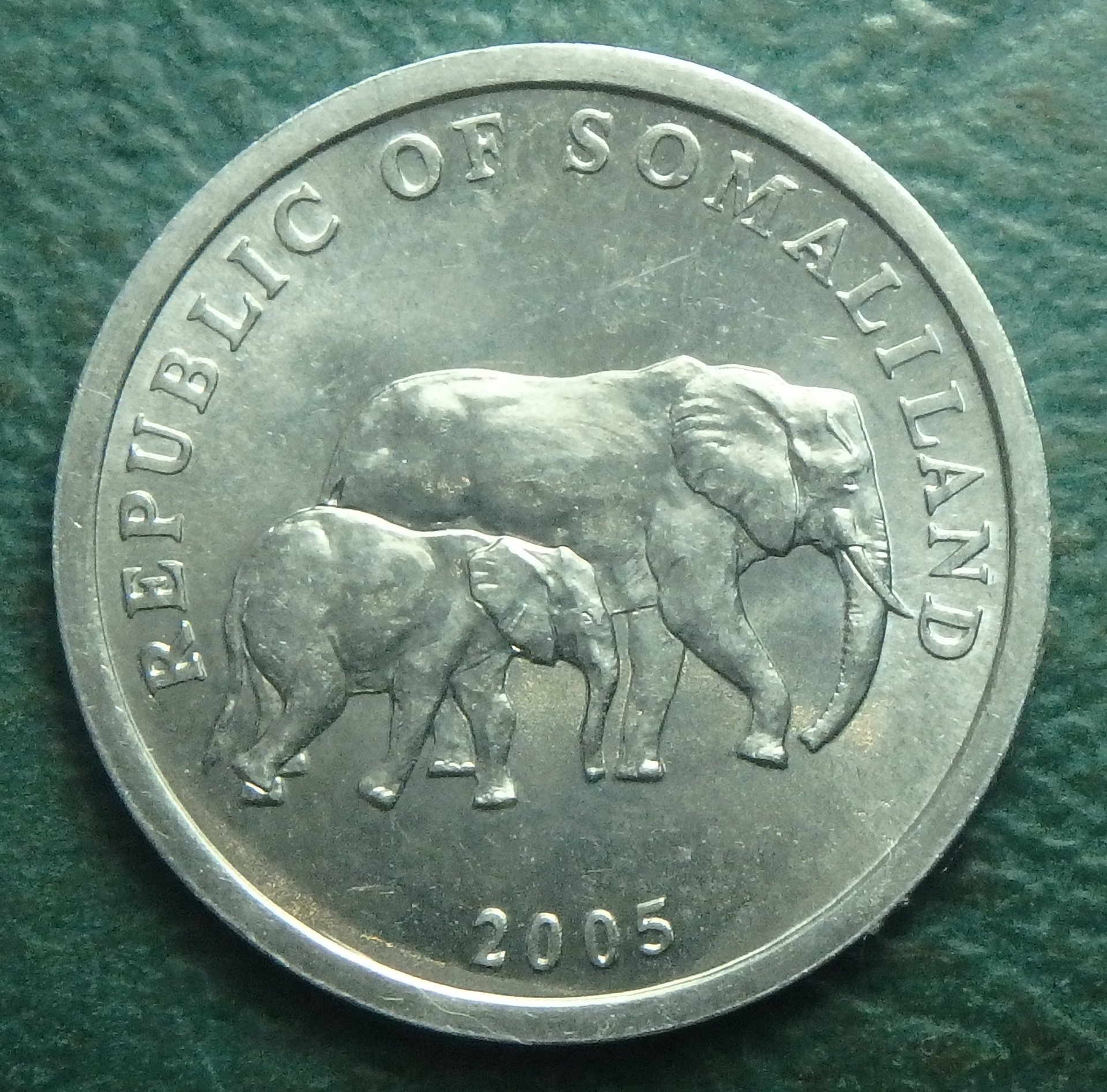 2005 SO 5 s obv (3).JPG