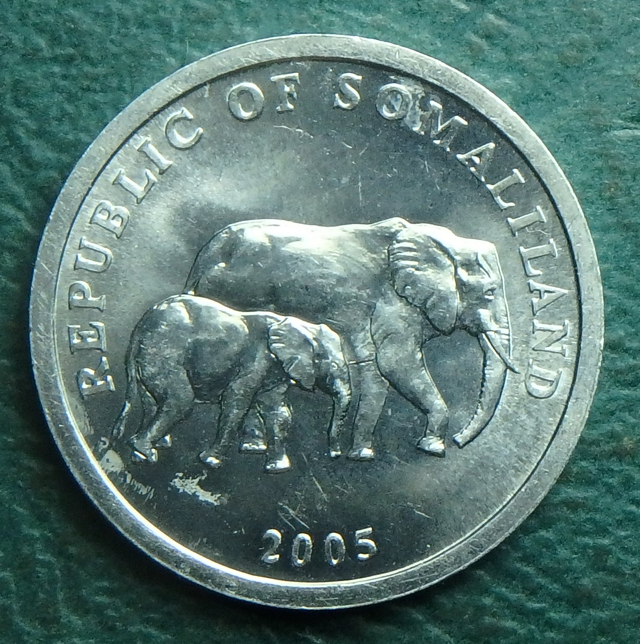 2005 SO 5 s obv.JPG