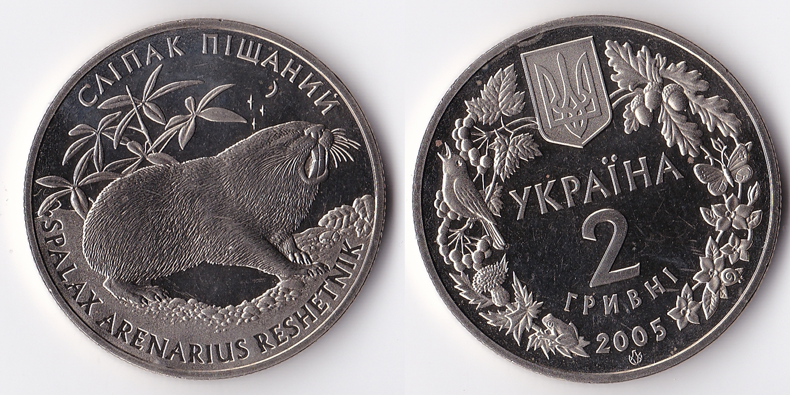 2005 ukraine 2 hryvni.jpg